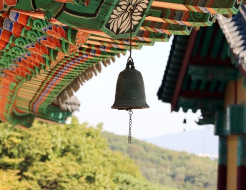 일심도량  보리 제25 - 7호  7월 1일 2025년