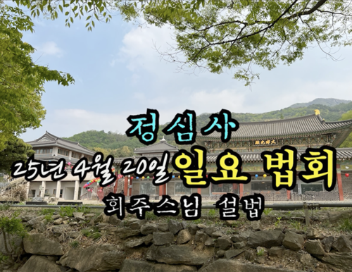 25년 4월 20일 정심사 일요 법회 회주스님 설법