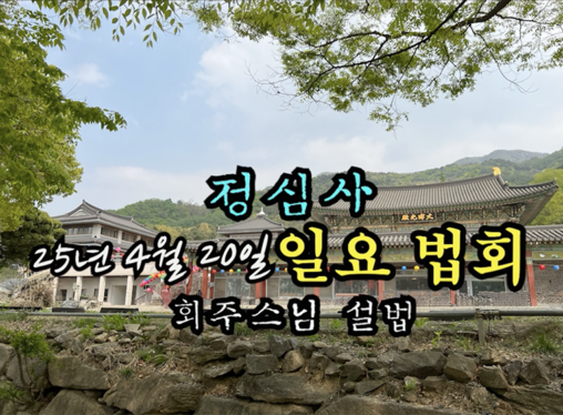 25년 4월 20일 정심사 일요 법회 회주스님 설법