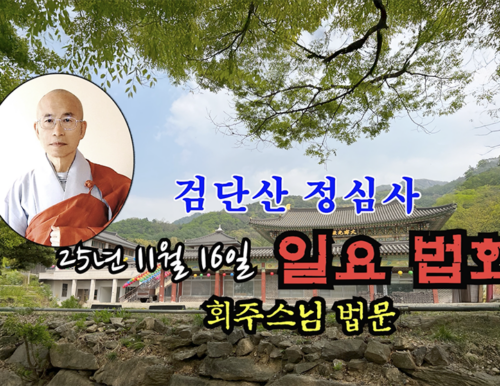 검단산 정심사 25년 11월 16일 일요 법회 - 회주스님 법문